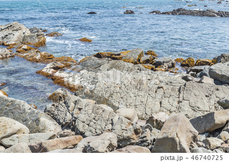 【平磯 白亜紀層】 【平磯 白亜紀層】 46740725