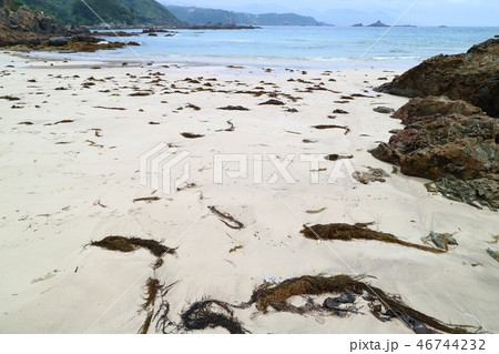 浜に打ち上げられた海藻　白い砂浜 46744232