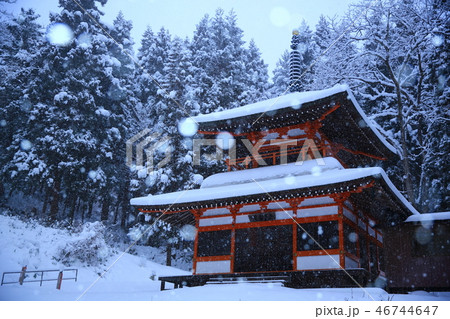 冬の極楽寺 冬の極楽寺 46744647