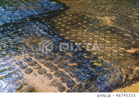 stone carving in the river at Kbal Spean 46745333