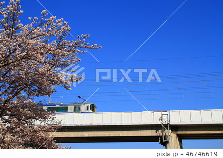 さくらと愛知環状鉄道の列車 さくらと愛知環状鉄道の列車 46746619