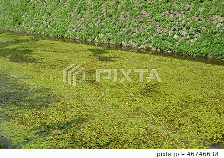 熊本・島原旅 46746638