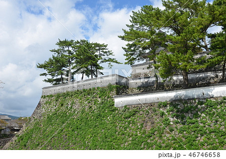 熊本・島原旅 46746658