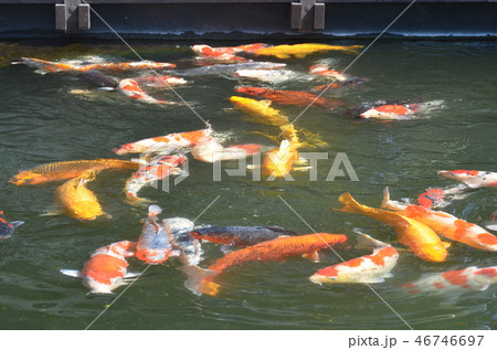 熊本・島原旅 46746697