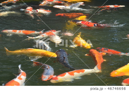 熊本・島原旅 46746698