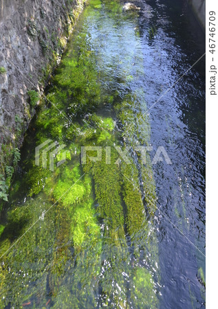 熊本・島原旅 46746709