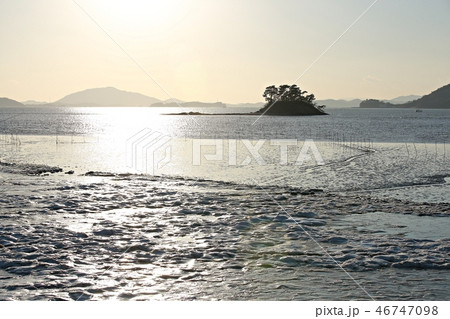 海 干潟 ビーチ 46747098