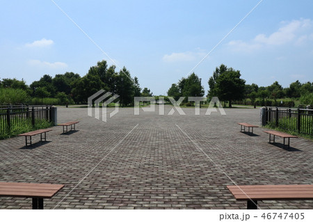 埼玉県羽生市水郷公園の風景 埼玉県羽生市水郷公園の風景 46747405