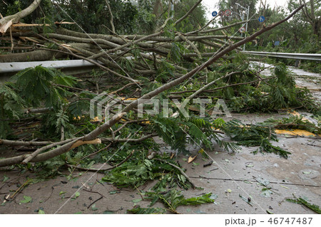 Broken tree fall down block the road 46747487