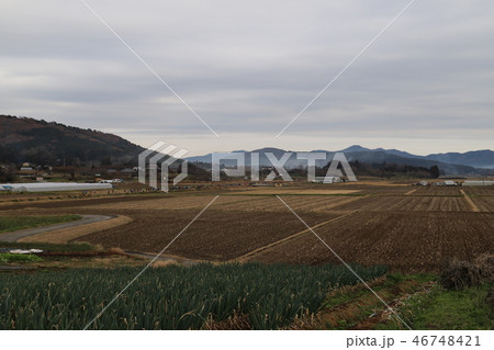 トレイルラン大会 石岡市風景 トレイルラン大会 石岡市風景 46748421