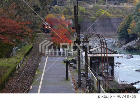 トッロコ保津峡駅 トロッコ列車 【京都 嵯峨野鉄道】 トッロコ保津峡駅 トロッコ列車 【京都 嵯峨野鉄道】 46748759