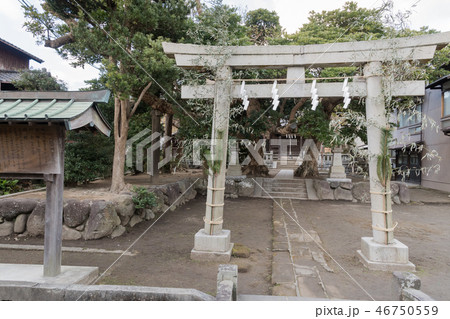 鎌倉八坂大神 46750559