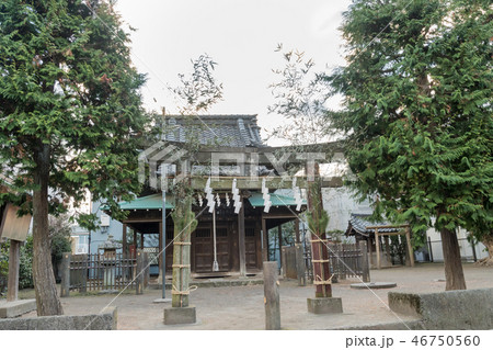 鎌倉・巽神社 46750560