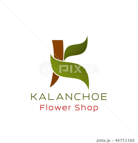 Flower shop K letter vector icon kalanchoe plant Flower shop K letter vector icon kalanchoe plant 46751388