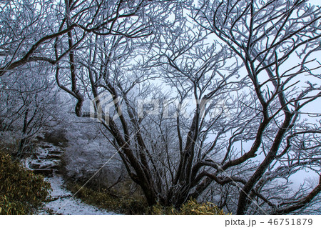 妙見岳の霧氷　【長崎県雲仙市】 46751879