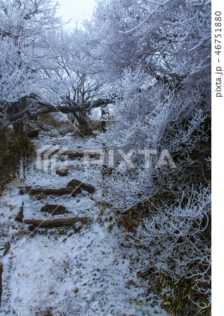 妙見岳の霧氷　【長崎県雲仙市】 46751880