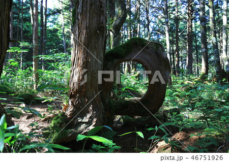 五色が原のめがね 46751926