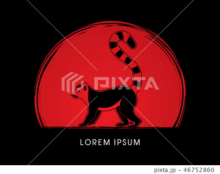 Lemur side view graphic vector. Lemur side view graphic vector. 46752860