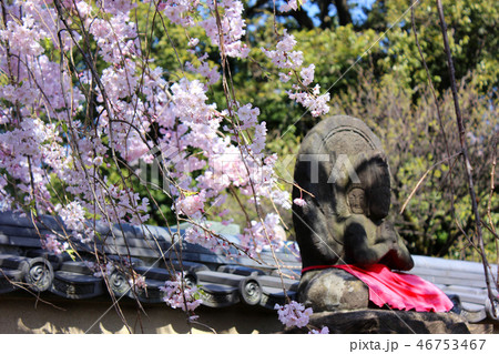 晴れ渡った春の白鷺山福蔵院(3) 46753467
