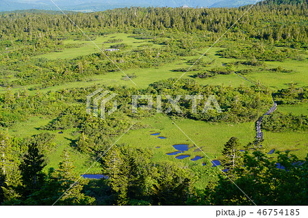 八甲田山・毛無岱 八甲田山・毛無岱 46754185