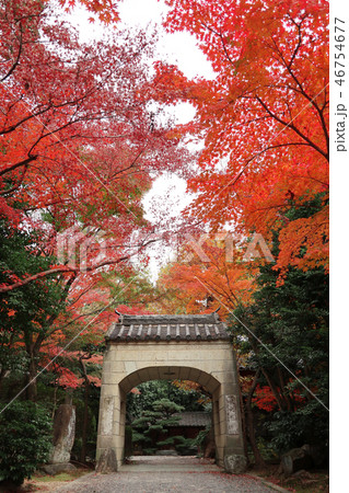 愛知県　名古屋　桃巌寺 46754677