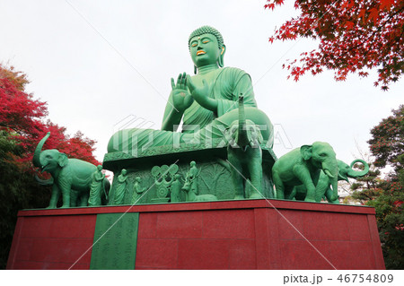愛知県 名古屋 桃巌寺 名古屋大仏 愛知県 名古屋 桃巌寺 名古屋大仏 46754809