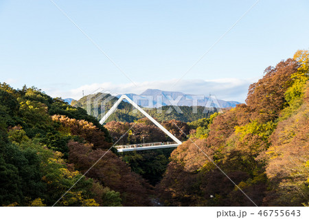 紅葉の高津戸峡　群馬県みどり市 46755643