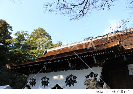 多田神社 初詣 多田神社 初詣 46758561