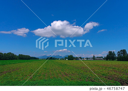 鳥が飛んでるような雲 46758747