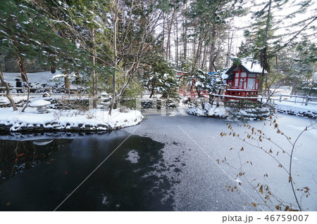 札幌 白石神社の池と弁天神社 札幌 白石神社の池と弁天神社 46759007