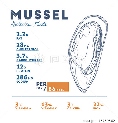 Nutrition facts of mussel, hand draw vector. 46759562