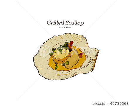 Grilled Scallop shell hand drawn vector 46759563