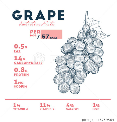 Nutrition Facts Of Grape Hand Draw Sketch Vector のイラスト素材