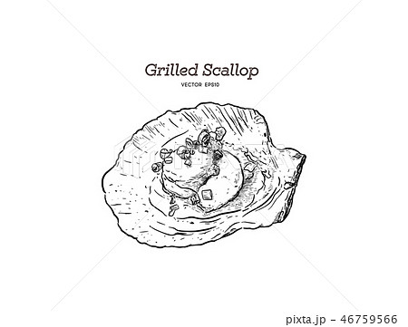 Grilled Scallop Shell Hand Drawn Vectorのイラスト素材