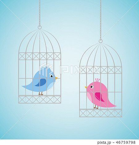 two birds in separate cages 46759798
