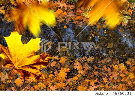 Falling leaves over the creek in the autumn. Falling leaves over the creek in the autumn. 46760331