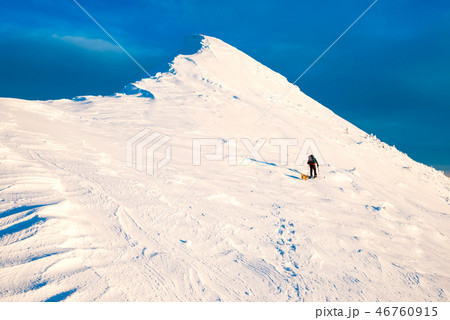 Mountaineer with dog climbing on mountain top Mountaineer with dog climbing on mountain top 46760915