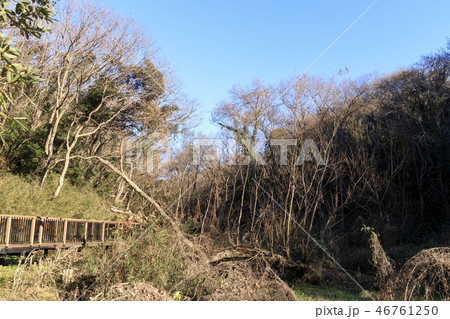 小網代湾 46761250