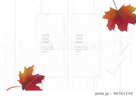 Flat lay top view elegant white paper composition Flat lay top view elegant white paper composition 46761549