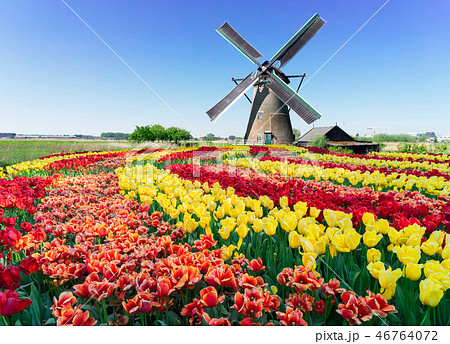 dutch windmill over river waters 46764072