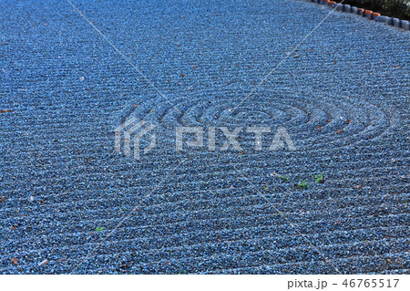 枯山水庭園の波打ち砂 枯山水庭園の波打ち砂 46765517