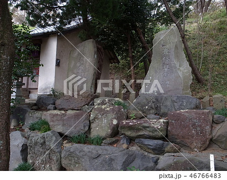 興国寺城 興国寺城 46766483