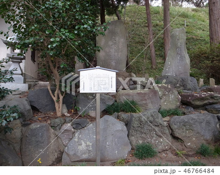 興国寺城 46766484