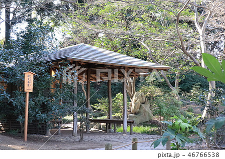 六義園滝見茶屋の建物 六義園滝見茶屋の建物 46766538