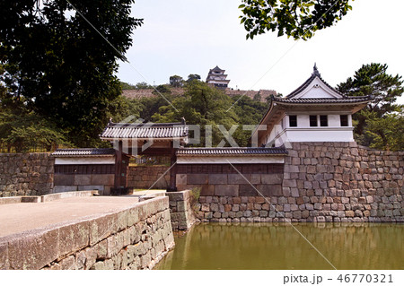 【日本100名城・重要文化財】丸亀城 【日本100名城・重要文化財】丸亀城 46770321