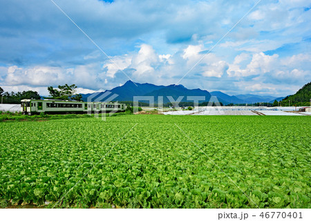 鉄道の旅　小海線　信濃川上 46770401
