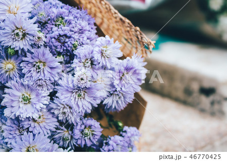 Violet flower bouquet in vintage style. Violet flower bouquet in vintage style. 46770425