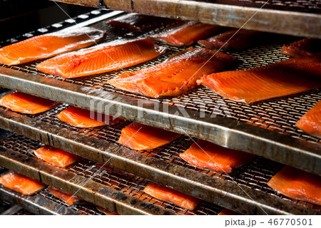 fish factory process fish factory process 46770501