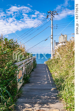 神奈川県 三浦半島 城ヶ島 神奈川県 三浦半島 城ヶ島 46770676