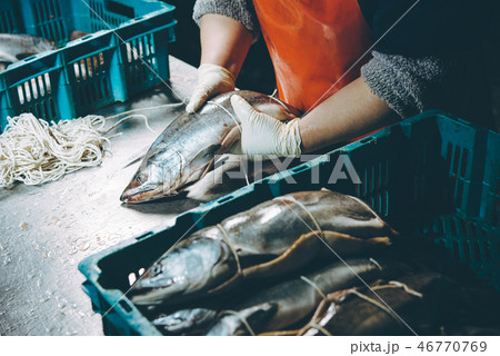 fish factory process 46770769